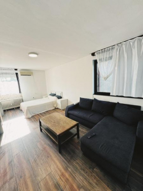 Apt near Big Center